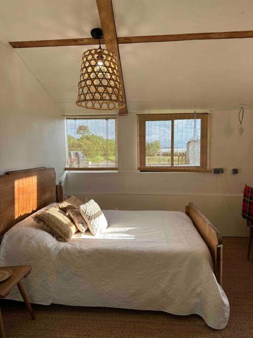 Cosy Cabane Boise Solaire, Balneo Bath Et Toilette Seche A La Ferme Mimizan Esterno foto
