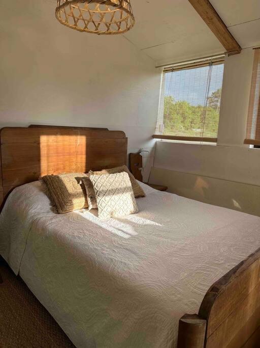 Cosy Cabane Boise Solaire, Balneo Bath Et Toilette Seche A La Ferme Mimizan Esterno foto
